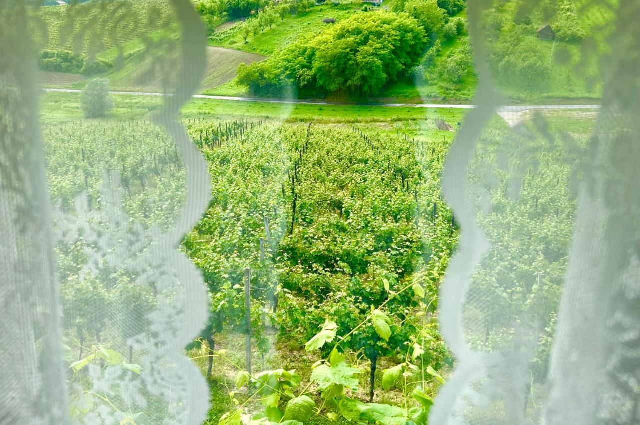 Wine Paradise Sveti Ivan Zelina ภายนอก รูปภาพ