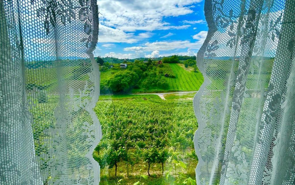 Wine Paradise Sveti Ivan Zelina ภายนอก รูปภาพ