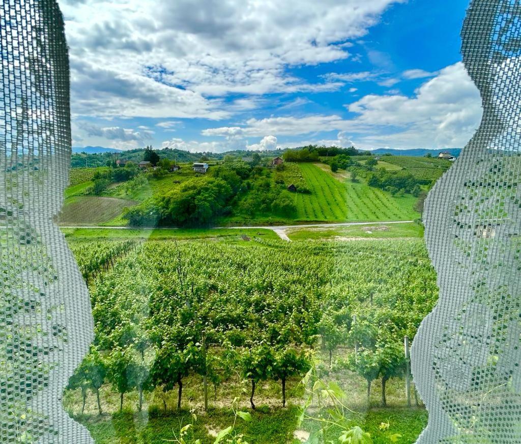 Wine Paradise Sveti Ivan Zelina ภายนอก รูปภาพ