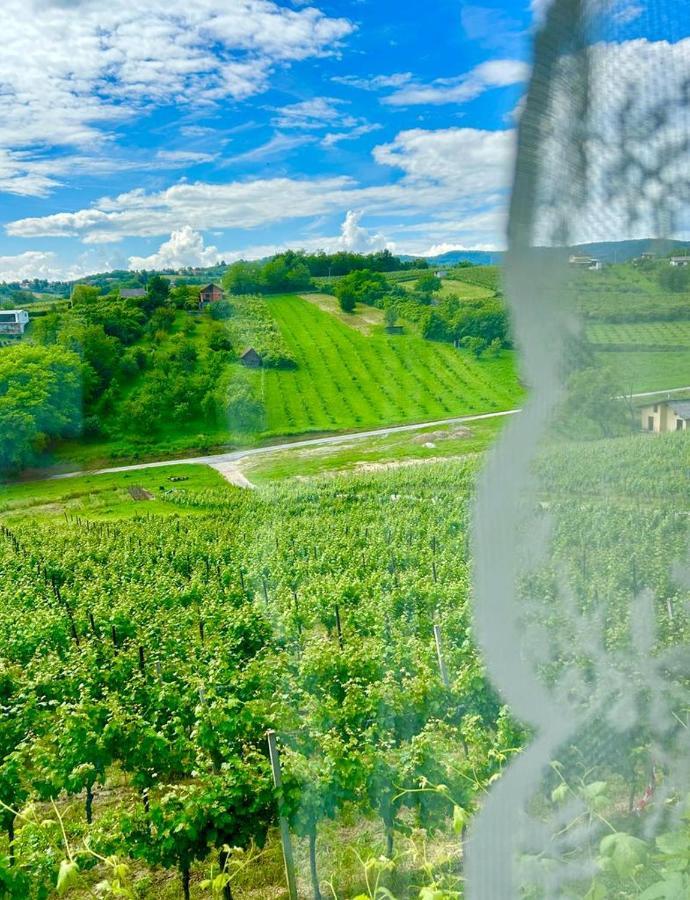 Wine Paradise Sveti Ivan Zelina ภายนอก รูปภาพ