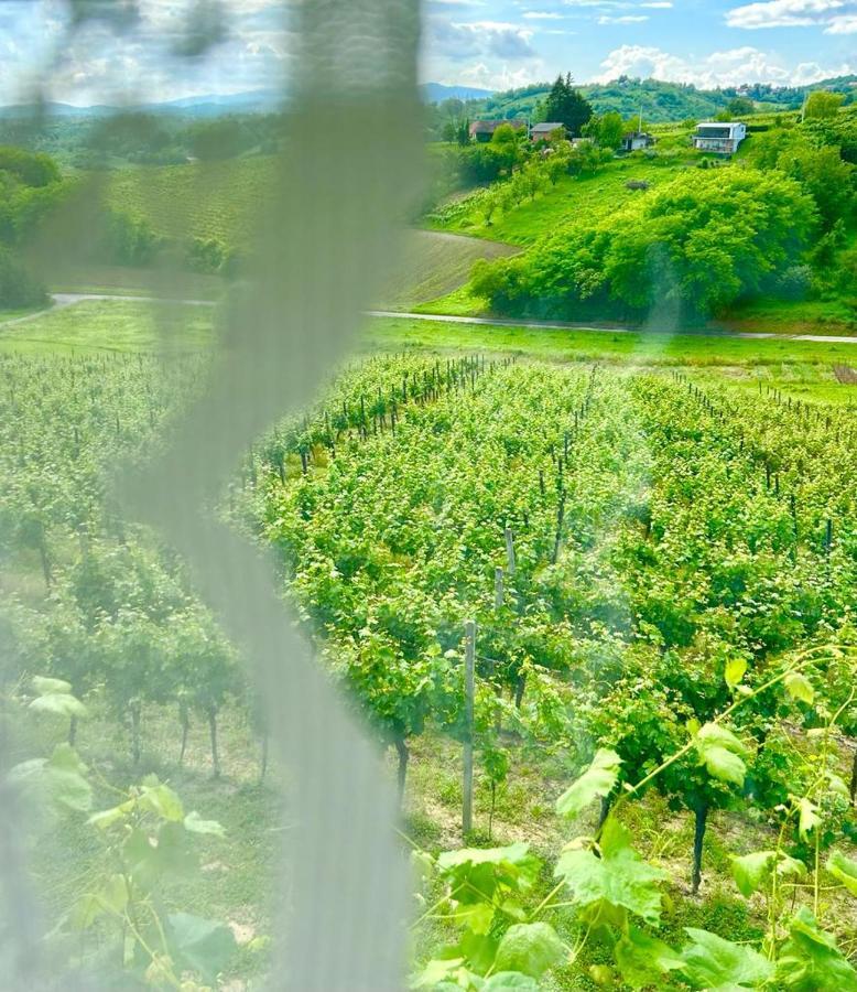 Wine Paradise Sveti Ivan Zelina ภายนอก รูปภาพ