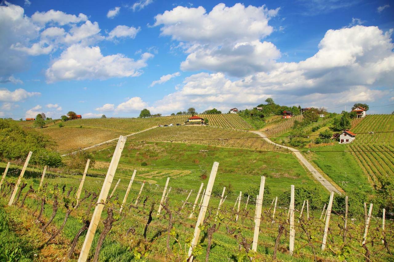 Wine Paradise Sveti Ivan Zelina ภายนอก รูปภาพ
